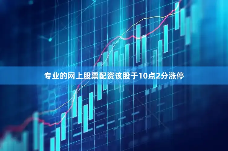 专业的网上股票配资该股于10点2分涨停