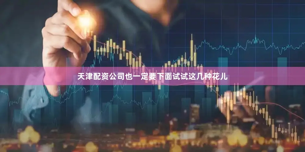 天津配资公司也一定要下面试试这几种花儿